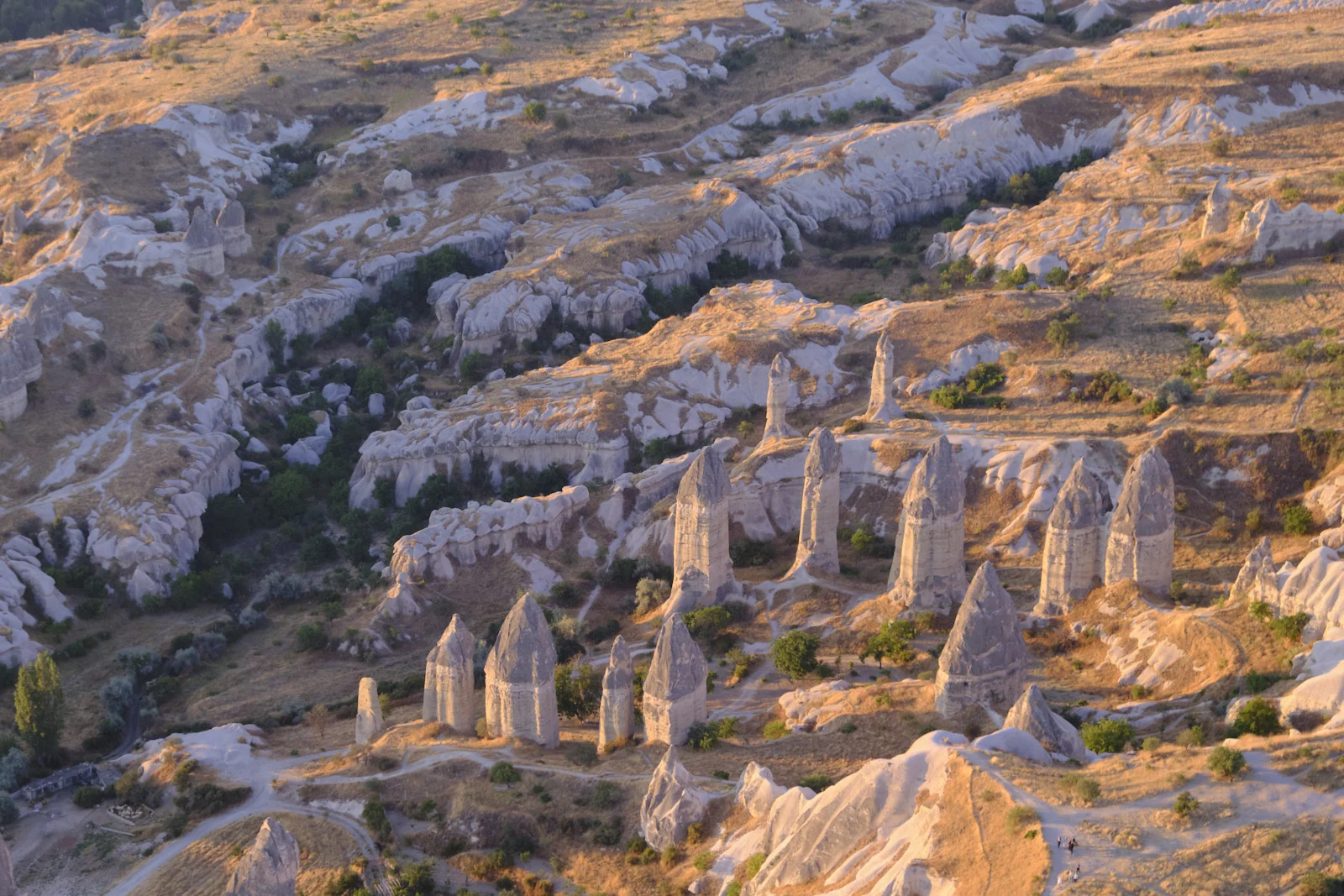 An aerial view of clustered conical fairy chimneys in warm morning light, with dirt paths and pale eroded hills around them.