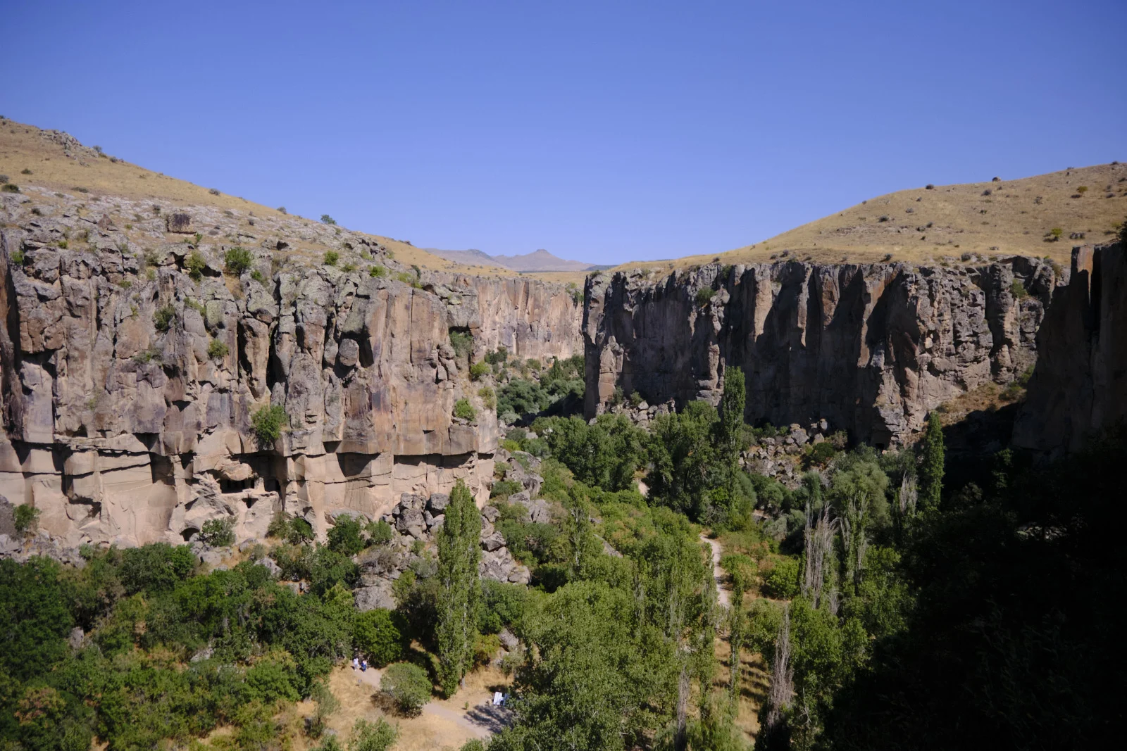 A deep rocky canyon with sheer cliffs, dense green trees and tall poplars along the floor, and a dirt path under a clear blue sky.