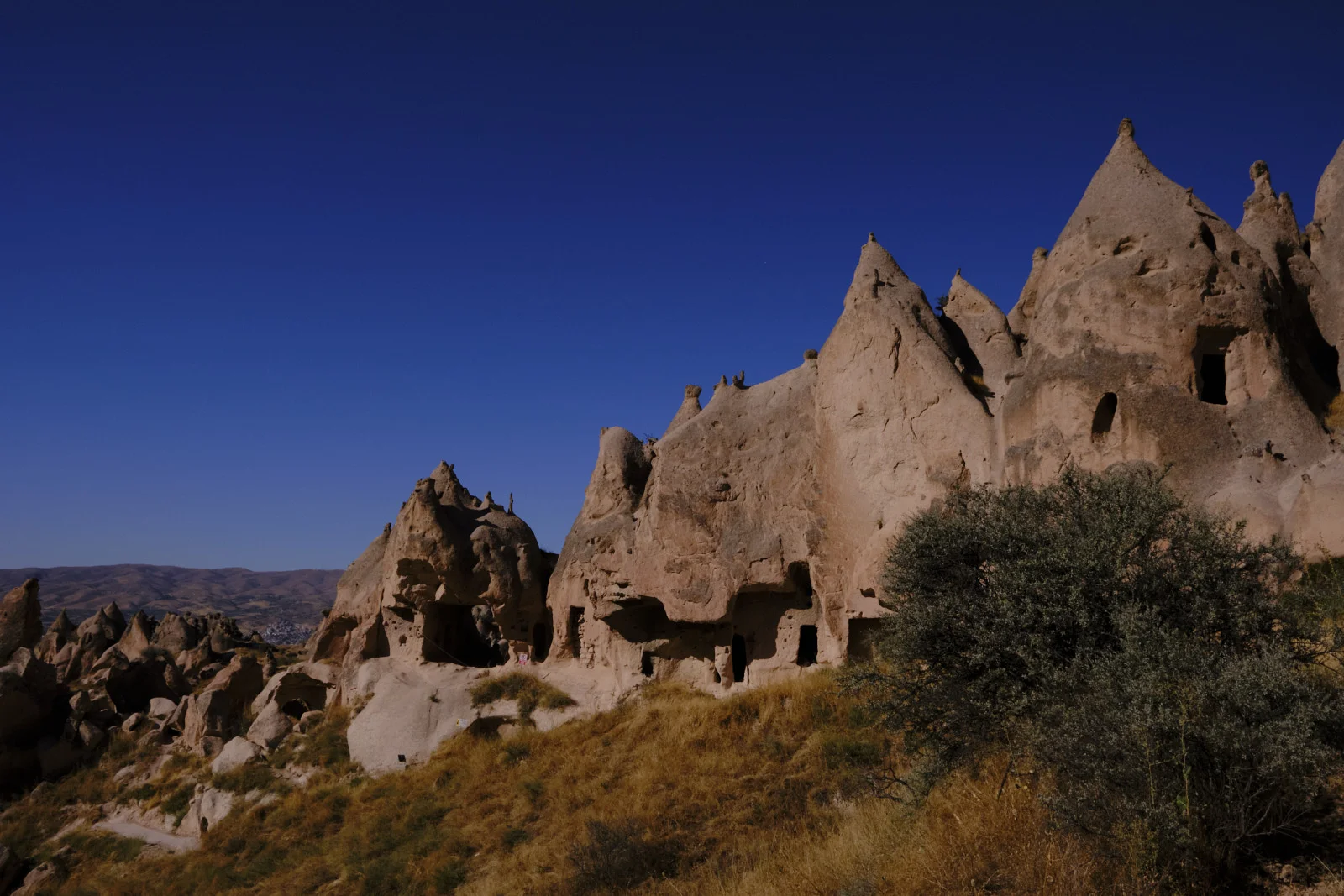 A tan rock hillside of pointed cones and dark cave doorways rises above dry grass and a leafy bush.