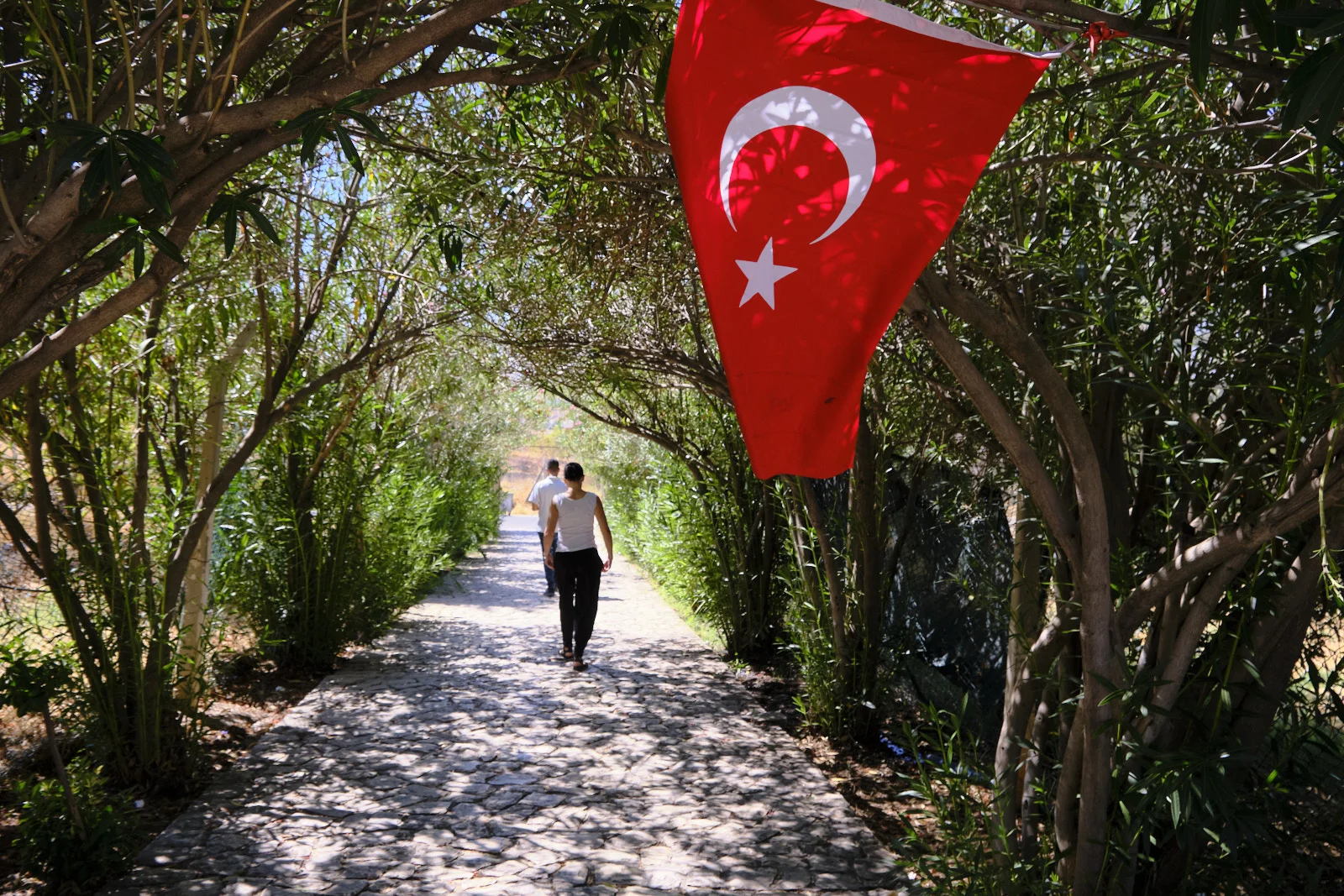 A Turkish flag hangs over a shaded cobblestone path where two people walk between dense willow trees.