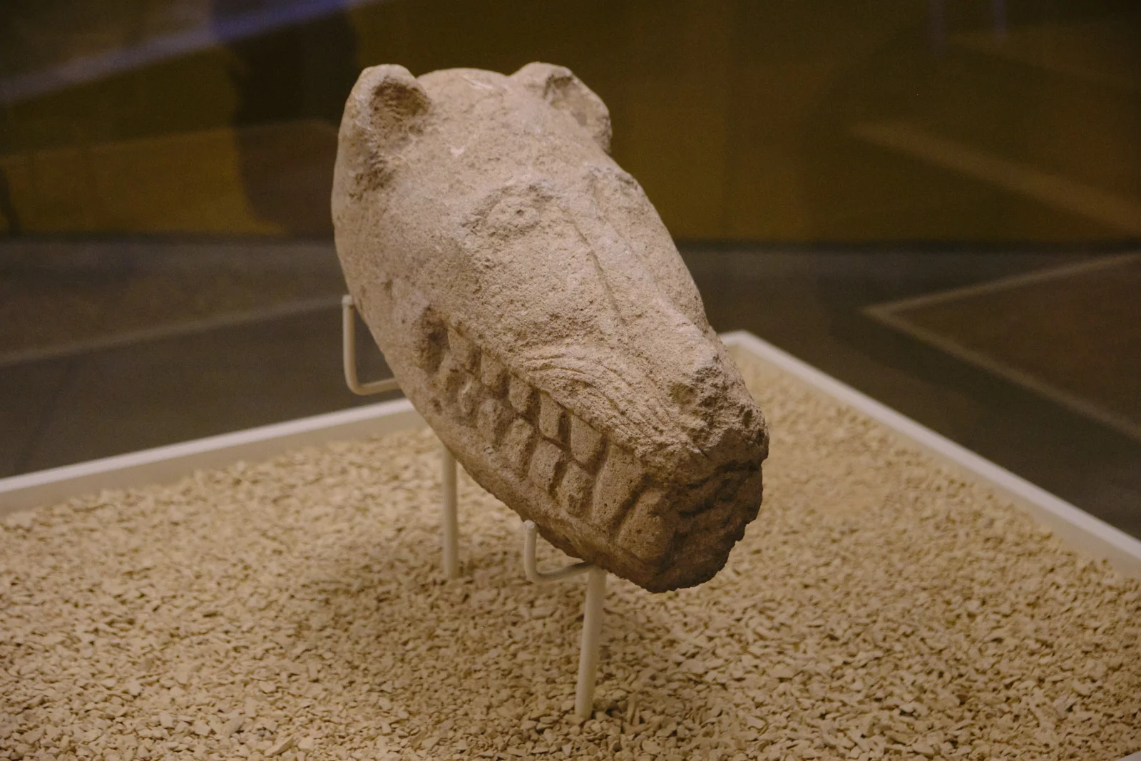 A limestone animal head with an open mouth of square teeth rests on metal supports over gravel.