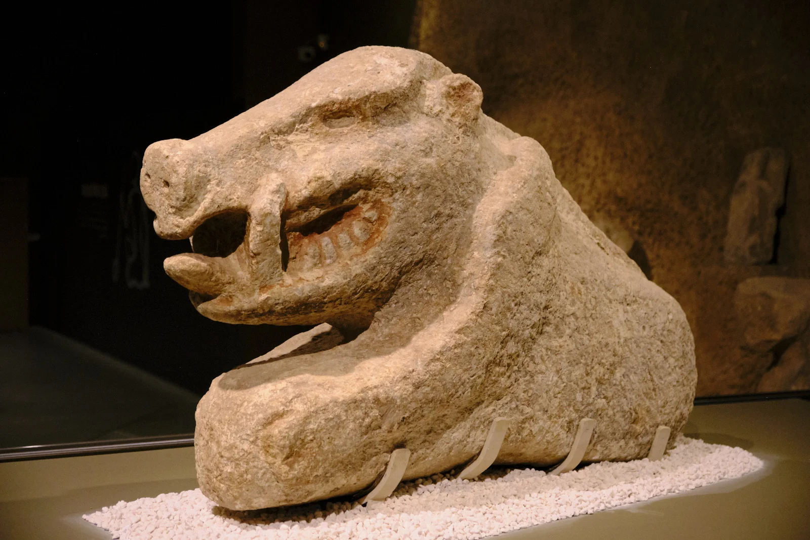 A large limestone animal sculpture with an open, toothed jaw sits on white gravel in a museum case.