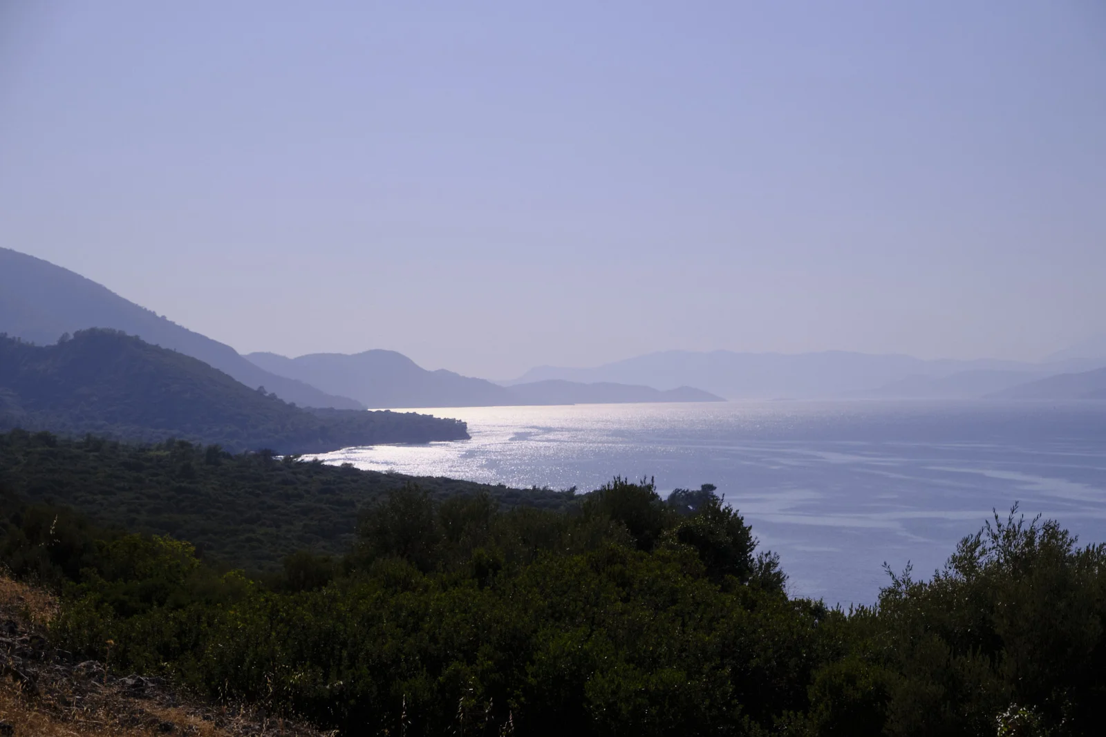 Forested hills in the foreground overlook a sunlit sea with distant hazy mountains under a pale sky.