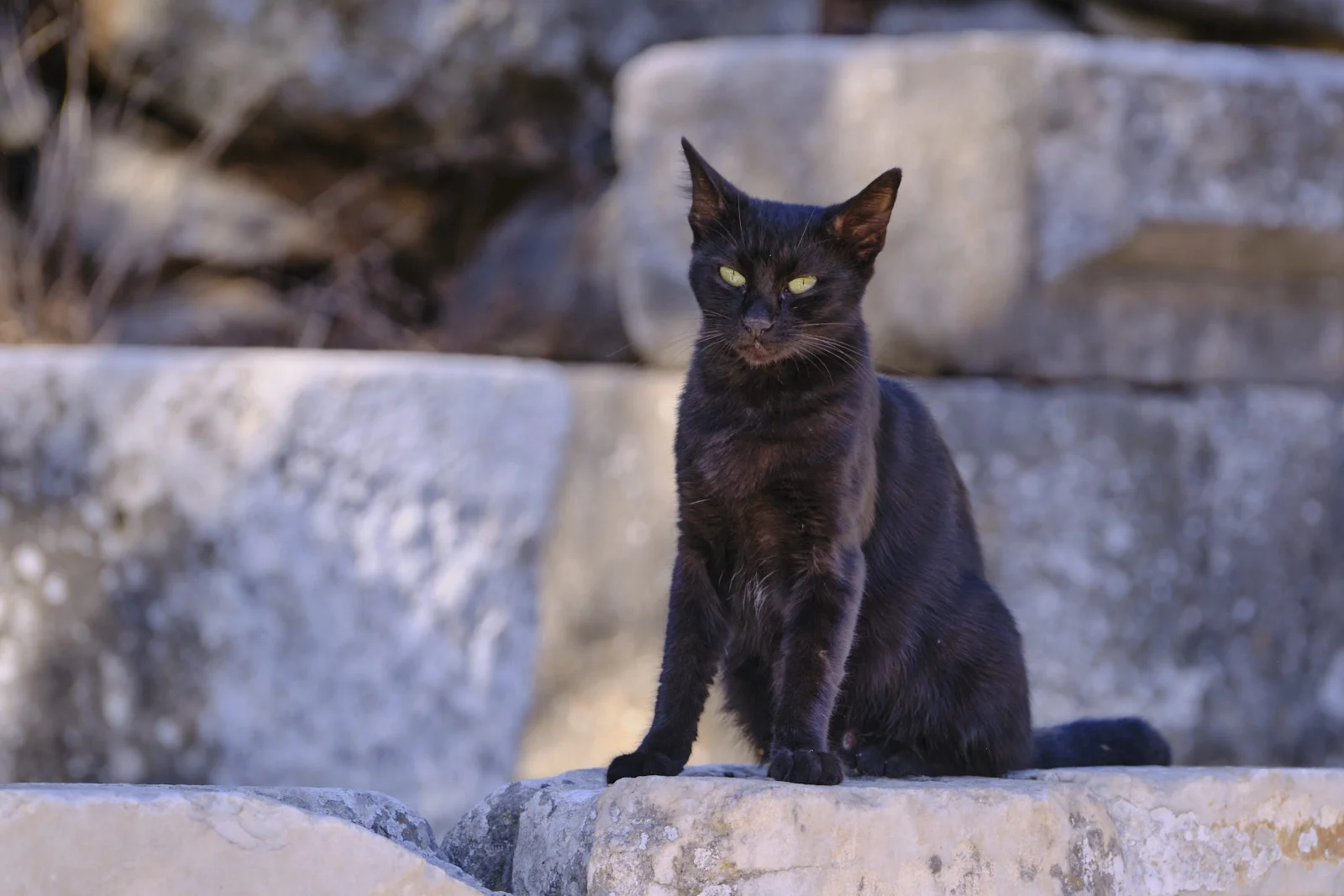A black cat with yellow eyes sits upright on a pale stone block, with blurred marble steps behind it.