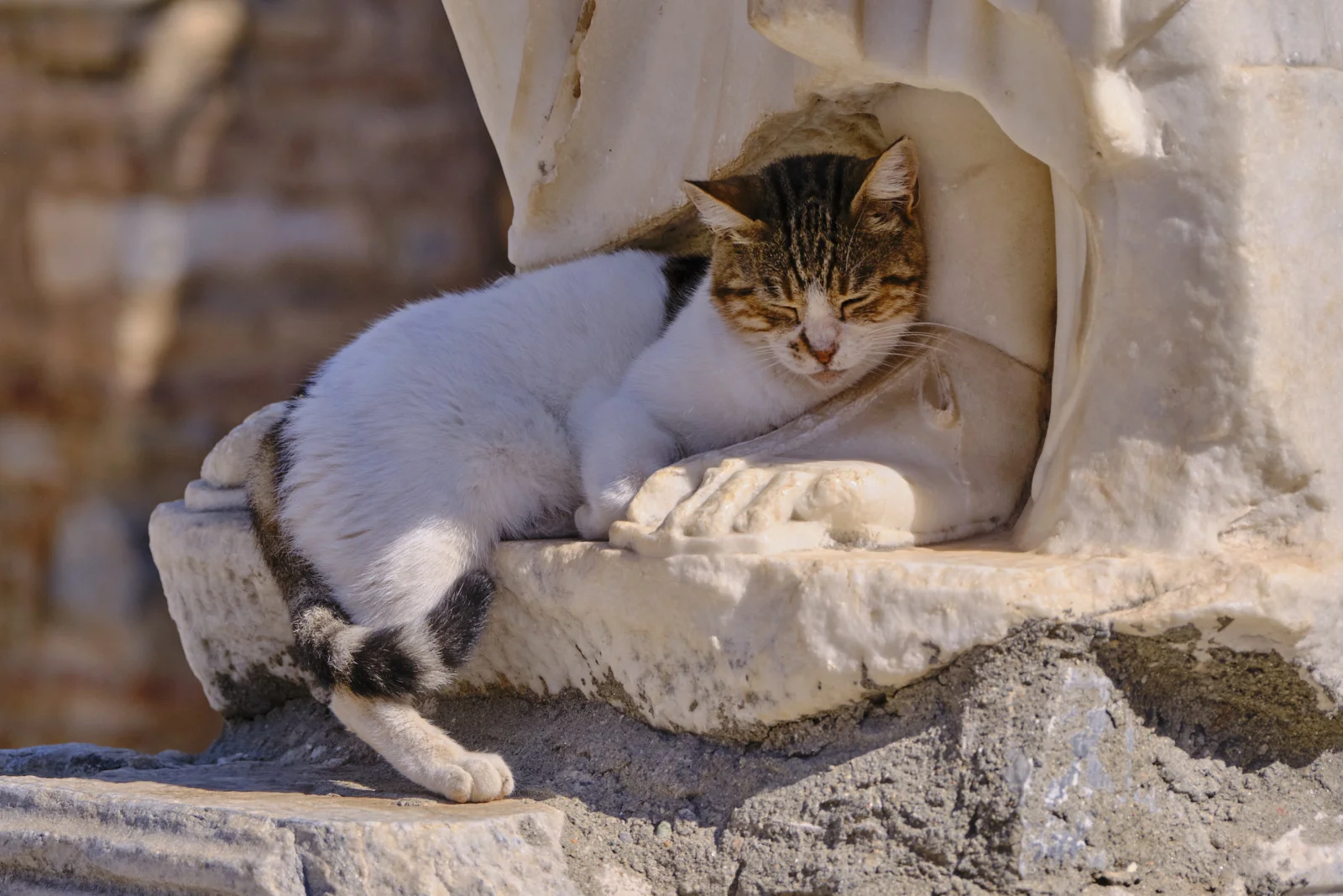 A white-and-tabby cat sleeps curled against the marble foot of a statue inside a stone niche.