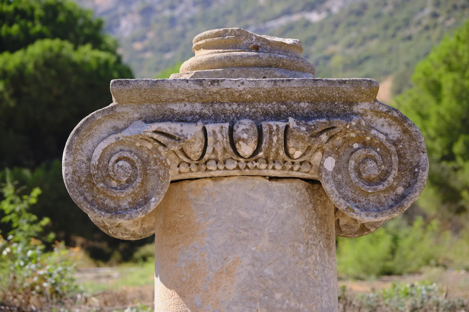 Close view of a weathered Ionic capital with large spiral volutes, against a blurred green hillside.