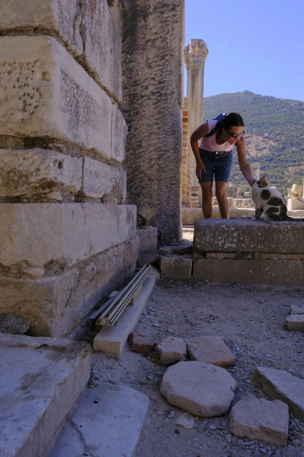 A woman in a pink shirt and denim shorts bends to touch a white-and-dark cat perched on a stone block among ruins.