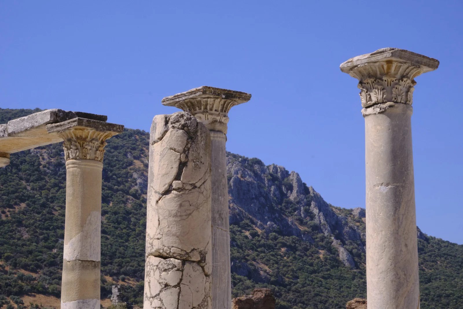 Several weathered marble columns with Corinthian capitals stand in front of a rocky, tree-covered mountain.