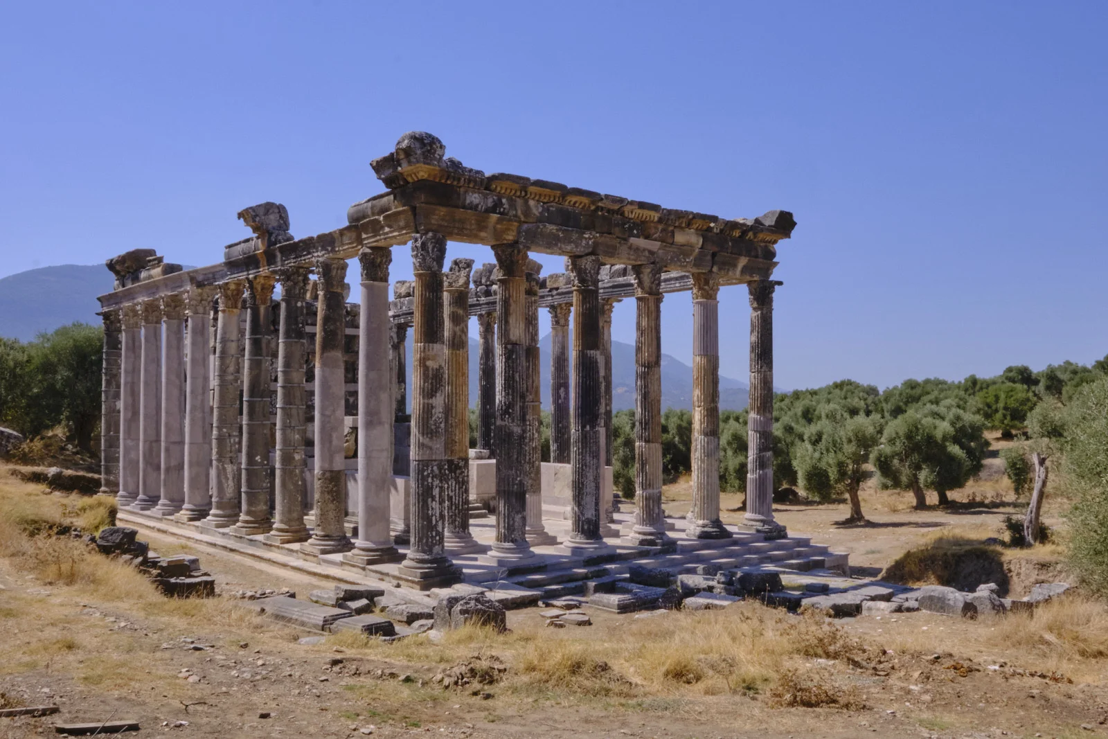 A rectangular temple ruin with many fluted columns and an intact entablature sits on a stepped platform in a dry, grassy field.
