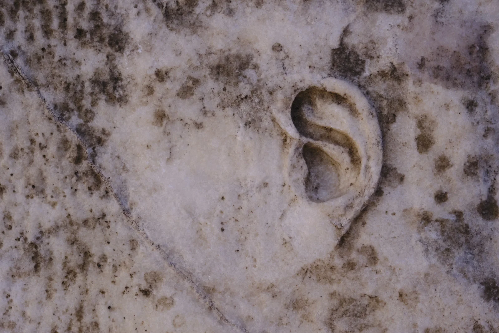 Close view of a human ear carved in relief on a weathered, lichen-flecked marble surface.
