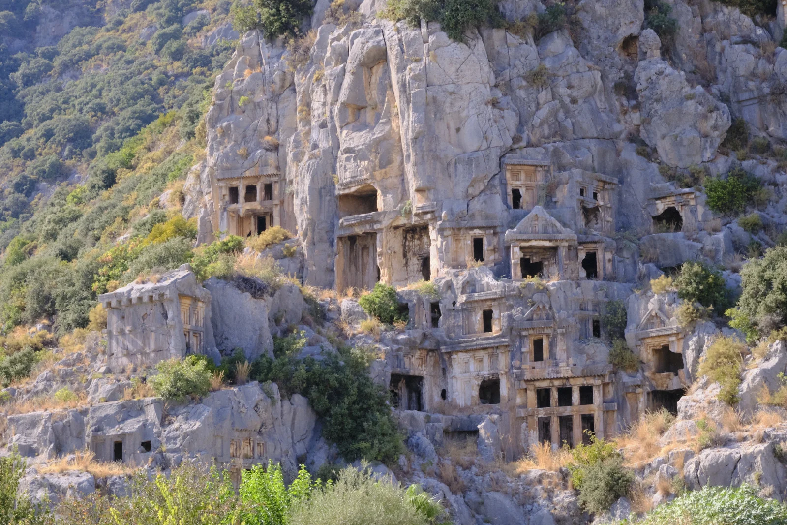 A gray cliff crowded with rock-cut temple tombs, some broken open, with bushes growing from the ledges.