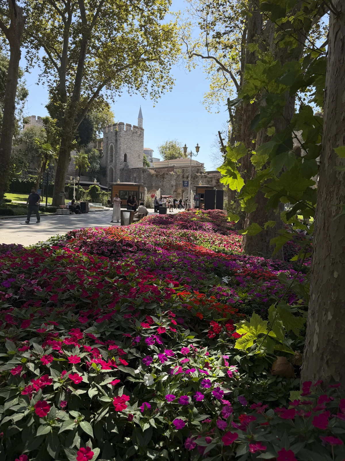 A long bed of pink and magenta flowers under plane trees, with a stone tower at the end of the path.