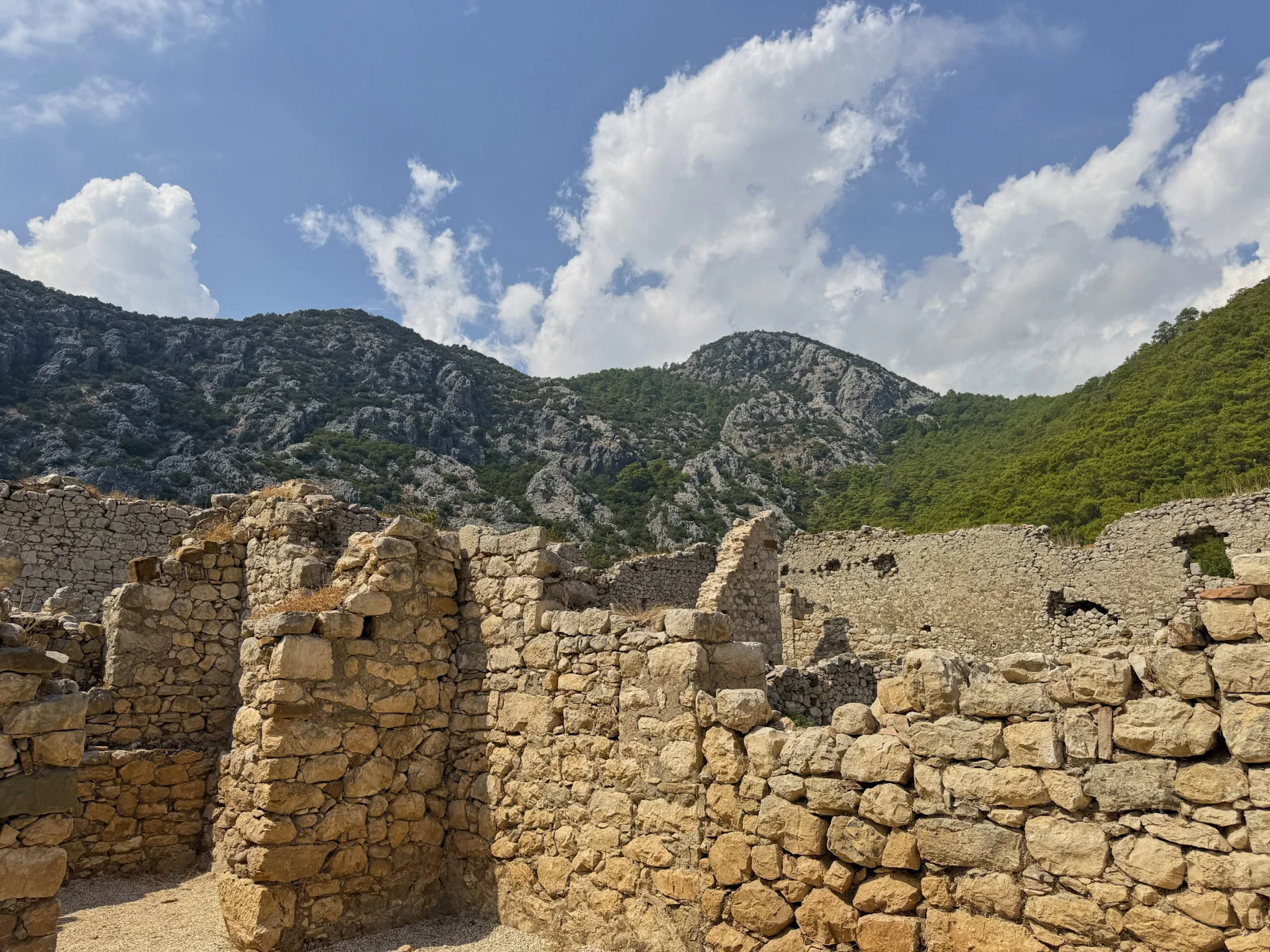 Low ruined stone rooms in the foreground and a rocky, tree-covered mountain ridge behind them.