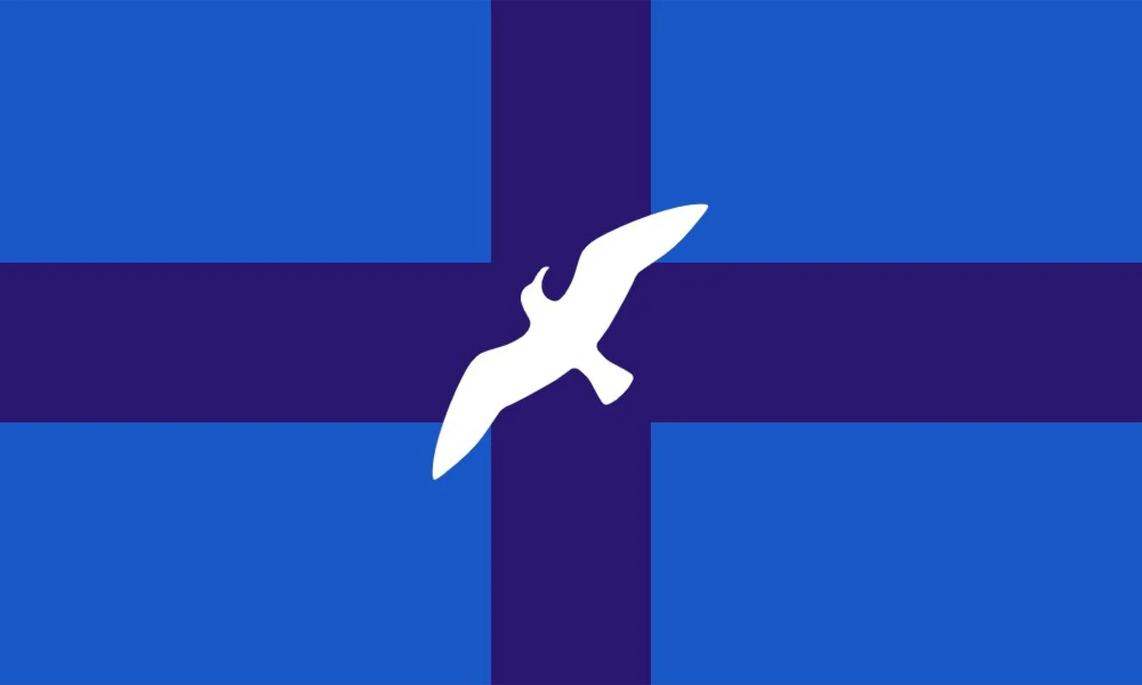 Seagull over the salt beds