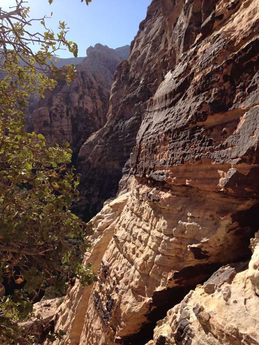 A view up the canyon from pitch 5 of Cat in the Hat